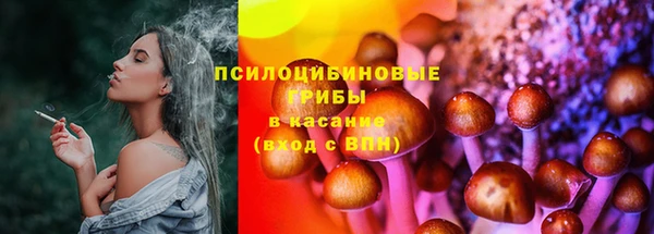 сатива Гусь-Хрустальный