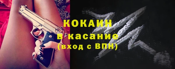 сатива Гусь-Хрустальный