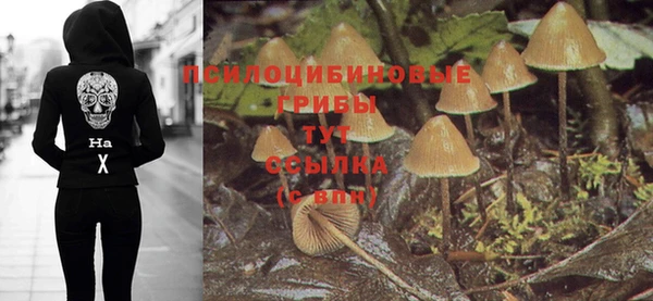 сатива Гусь-Хрустальный